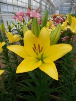 [4023 Mynnou No02.JPG]